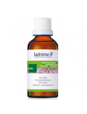 Image de Epilobe Bio - Prostate Teinture-mère Epilobium angustifolium 100 ml - Ladrôme depuis louis-herboristerie