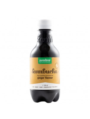 Image de Kombucha Gingembre Bio - Détox 330 ml - Purasana depuis Résultats de recherche pour "Gingembre"