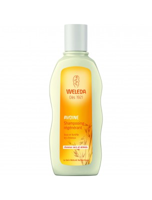 Image de Shampoing Régénérant à l'avoine - Cheveux secs et abîmés 190 ml - Weleda depuis Shampoings pour teintures naturelles