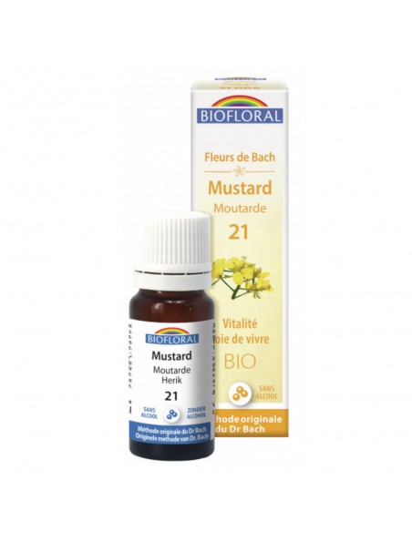 Image principale de Moutarde (Mustard) Bio - Fleurs de Bach en granules 10 ml - Biofloral