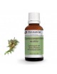 Cyprès de Provence (Cyprès toujours vert) Bio - HE de Cupressus sempervirens 30 ml - Pranarôm
