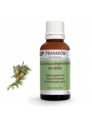 Image de Cyprès de Provence (Cyprès toujours vert) Bio - HE de Cupressus sempervirens 30 ml - Pranarôm depuis Achetez les produits Pranarôm à l'herboristerie Louis (3)