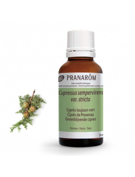 Image principale de Cyprès de Provence (Cyprès toujours vert) Bio - HE de Cupressus sempervirens 30 ml - Pranarôm