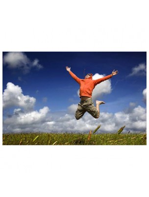 Image 56011 supplémentaire pour Libérations Bio - Changement d'habitude Composé floral n°6 spray de 30 ml - Deva