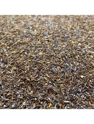 Image de Soleil d'Afrique du Sud Bio - Infusion de Rooibos 100g depuis Rooibos Datte Vanille Bio - Rooibos 100g - L'Autre Thé