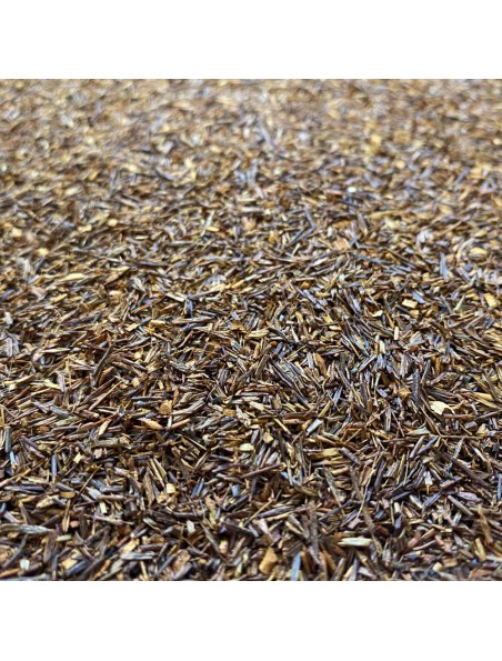 Achetez Soleil d'Afrique du Sud Bio - Infusion de Rooibos 100g à l'herboristerie Louis Image principale de Soleil d'Afrique du Sud Bio - Infusion de Rooibos 100g