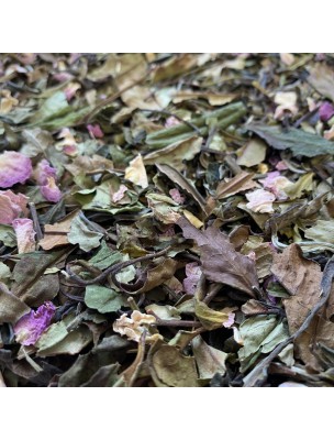 Image de Délicate Rose de Damas Bio - Thé Blanc Parfumé 50g depuis Théière Boule Rouge Faïence 750 ml - Marque - Filtre amovible