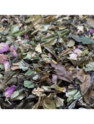 Image de Organic Damask Rose White Tea - Flavored White Tea 50g depuis White tea in all its flavours