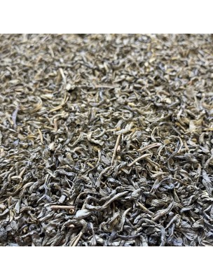 Image de Chun Mee Bio - Natural Green Tea from China 100g depuis Green teas combining pleasure and benefits