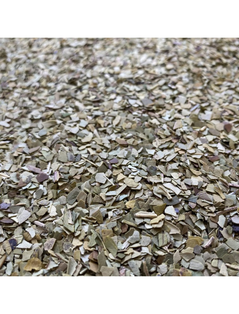 Maté Vert Bio - Thé Bien-être du Brésil 70g