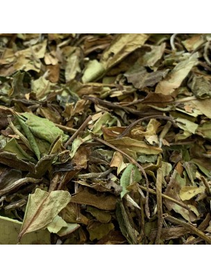 Image de Paï Mu Tan Bio - Thé Blanc Nature de Chine 50g depuis Le thé blanc sous tous ses arômes
