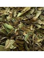 Image de Paï Mu Tan Bio - Natural White Tea from China 50g via Buy Organic Damask Rose White Tea - Scented White Tea