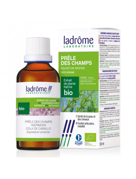 Prêle des Champs Bio - Articulations et Dépuratif Teinture-mère Equisetum arvense 50 ml - Ladrôme