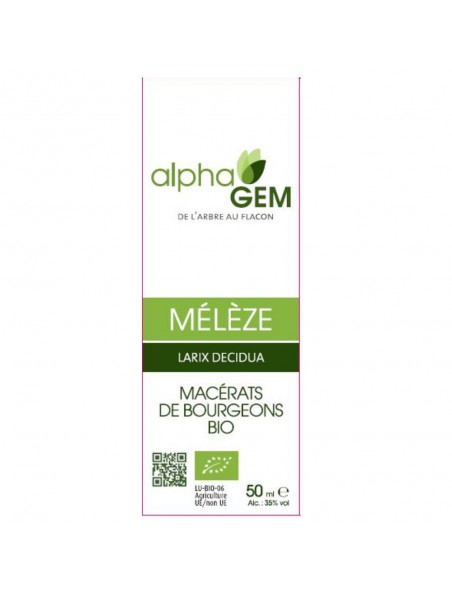 Achetez Mélèze Macérat de bourgeons Bio - Larix decidua 50 ml - Alphagem à l'herboristerie Louis Image principale de Mélèze Macérat de bourgeons Bio - Larix decidua 50 ml - Alphagem