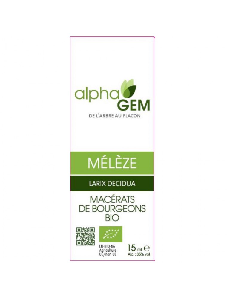 Image principale de la modale pour Mélèze Macérat de bourgeons Bio - Larix decidua 15 ml - Alphagem