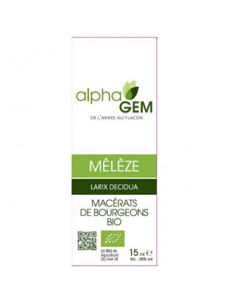 Image principale de Mélèze Macérat de bourgeons Bio - Larix decidua 15 ml - Alphagem