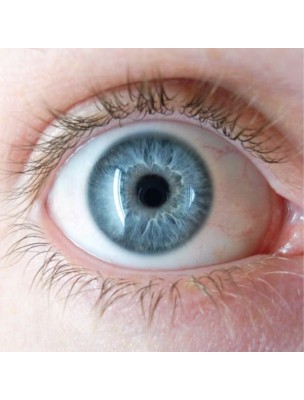 https://www.louis-herboristerie.com/56446-home_default/oculo-gouttes-bio-soin-des-yeux-au-bleuet-10-ml-alphagem.jpg