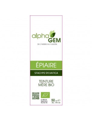 Image de Epiaire Bio - Troubles Féminins Teinture-mère de Stachys sylvatica 50 ml - Alphagem depuis louis-herboristerie