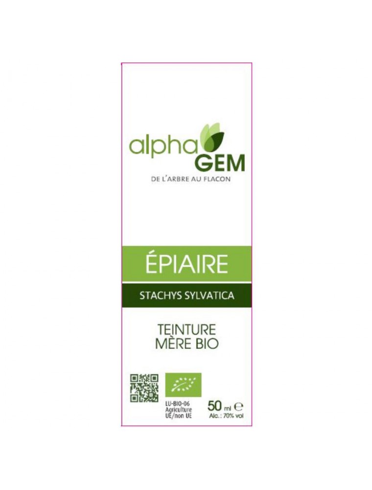 Image principale de la modale pour Epiaire Bio - Troubles Féminins Teinture-mère de Stachys sylvatica 50 ml - Alphagem