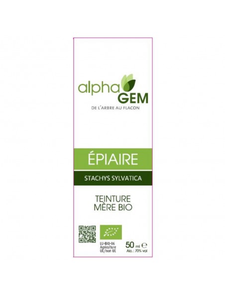 Image principale de Epiaire Bio - Troubles Féminins Teinture-mère de Stachys sylvatica 50 ml - Alphagem