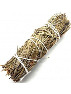 Image de Pine - Fumigation - 11 cm bundle (25 g) depuis Scented and purifying plant sticks
