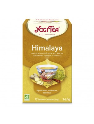 Image de Himalaya - Infusion exotique 17 sachets - Yogi Tea via Acheter Infuseur en verre "Simbad" avec son passe-thé métal intégré en