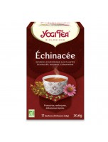Image de Echinacea - Défenses immunitaires 17 sachets - Yogi Tea depuis Achetez nos thés en infusettes naturels et bio - Herboristerie en ligne (2)
