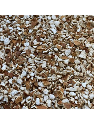Image de Orange Douce Bio - Ecorce coupée 100g - Tisane de Citrus sinensis depuis Infuseur à thé Rouge Inox - Marque