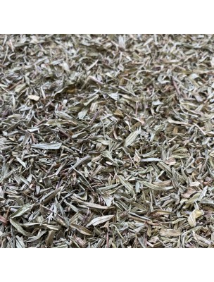 Image de Sarriette Bio - Feuilles coupées 100g - Tisane de Satureja montana depuis Commandez les produits Louis Bio à l'herboristerie Louis
