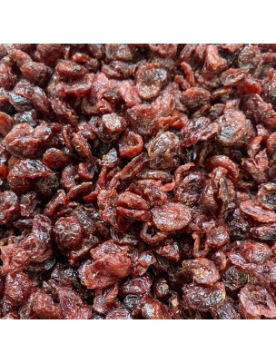 Image de Canneberge Bio - Fruit Moelleux 100g - Tisane de Vaccinium macrocarpon depuis louis-herboristerie