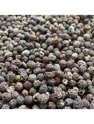 Image de Aubépine - Fruit (Cenelle) 100g - Tisane de Crataegus monogyna Jacq. depuis Résultats de recherche pour "Plantes médicin"