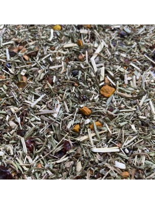 Image de Vitality Herbal Tea #1 Immunity - Herbal blend for natural defenses - 100 grams via Buy C.I.P. Ginkgo Biloba Organic - Circulation and Memory 20 phials -
