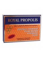 Image de Royal Propolis - Vitalité et Immunité 20 ampoules - Nutrition Concept depuis Achetez des ampoules de phytothérapie et d'herboristerie en ligne (2)