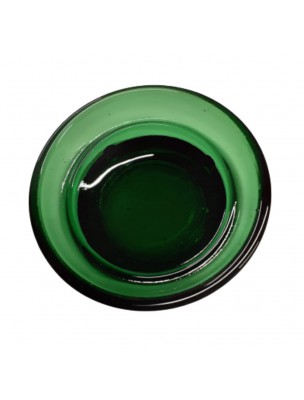 Image de Green IRL coin - Water Fountain - Fontaine Eva depuis Order the products Fontaine Eva at the herbalist's shop Louis