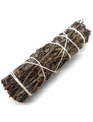 Image de Shasta Sage - Fumigation - Bundle of 11 cm (20 to 30g) depuis Fumigation à la sauge blanche