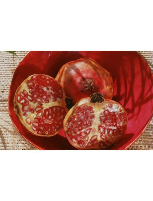 Buy Pomegranate Firming Night Cream - Renewal