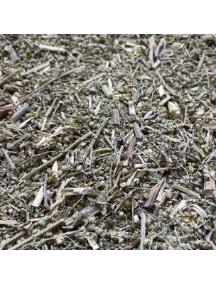 Image 58115 supplémentaire pour Absinthe - Sommité coupée 100g - Tisane d'Artemisia absinthium