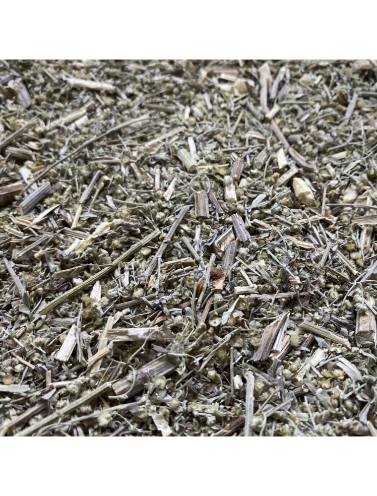 Image principale de la modale pour Absinthe - Sommité coupée 100g - Tisane d'Artemisia absinthium