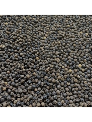 Image de Poivre Noir Bio - Grains 100g -Tisane de Piper nigrum L. depuis Achetez Poivre Blanc Louis 100g - Tisane de Piper nigrum