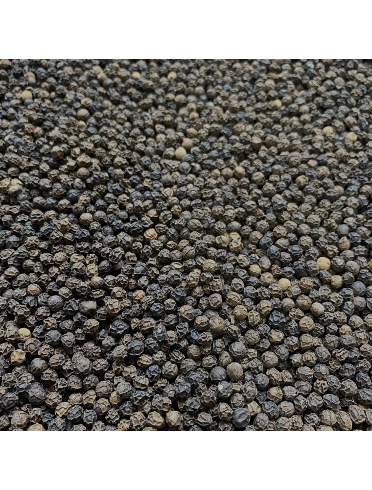 Image principale de la modale pour Poivre Noir Bio - Grains 100g -Tisane de Piper nigrum L.