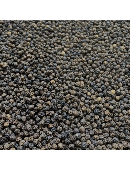 Image principale de Poivre Noir Bio - Grains 100g -Tisane de Piper nigrum L.