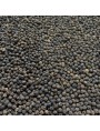 Image de Organic Black Pepper - 100g seeds - Piper nigrum L. herbal tea via Buy Cubeb - Fruit 100g - Piper Herbal Tea