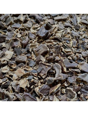 Image de Caroubier - Fruit coupé 100g - Tisane de Ceratonia siliqua L. depuis louis-herboristerie