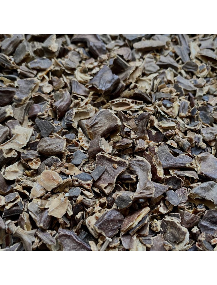 Image principale de la modale pour Caroubier - Fruit coupé 100g - Tisane de Ceratonia siliqua L.