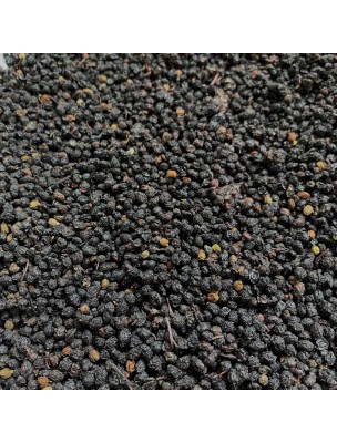 Image de Sureau - Baie 100g - Tisane de Sambucus nigra L. depuis Tisanes unitaires de qualité en ligne - Commandez maintenant ! (10)