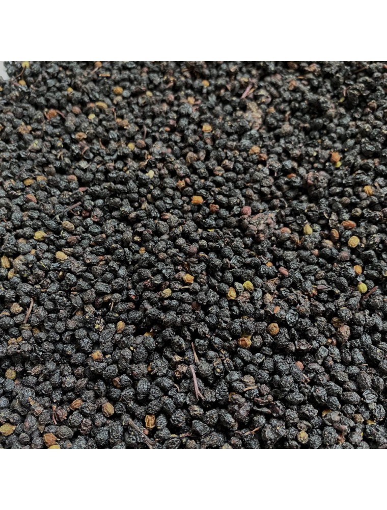 Image principale de la modale pour Sureau - Baie 100g - Tisane de Sambucus nigra L.