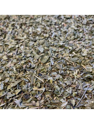 Image de Aspérule odorante Bio - Partie aérienne coupée 100g - Tisane d'Asperula orodata depuis Achetez vos Tisanes en ligne (2)