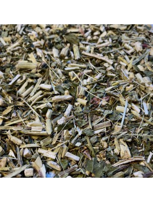 Image de Echinacea Bio - Cut aerial part 100g - Echinacea purpurea (L.) Moench herbal tea via Buy Organic Grapefruit Seed Extract and Acerola - Defences