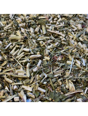 Image 58165 supplémentaire pour Echinacée Bio - Partie aérienne coupée 100g - Tisane Echinacea purpurea (L.) Moench