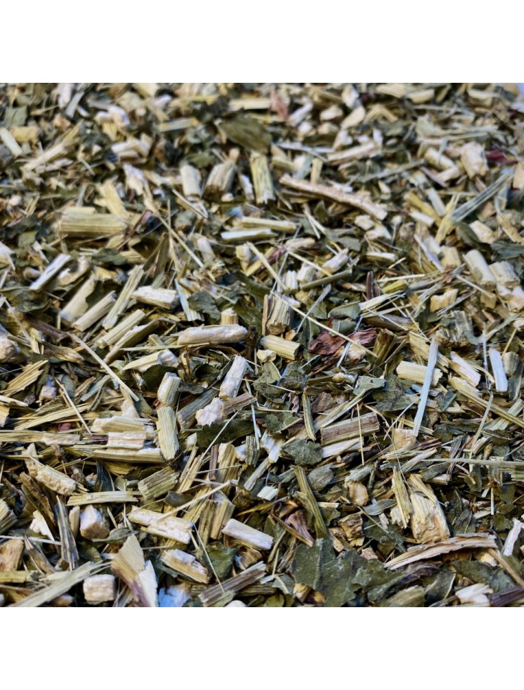 Image principale de la modale pour Echinacée Bio - Partie aérienne coupée 100g - Tisane Echinacea purpurea (L.) Moench